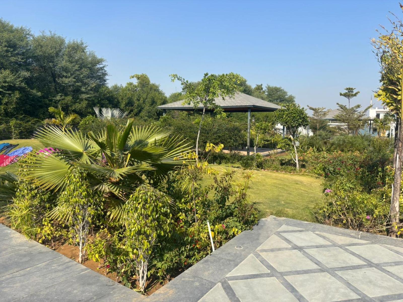Farm Serene 3* Jaipur